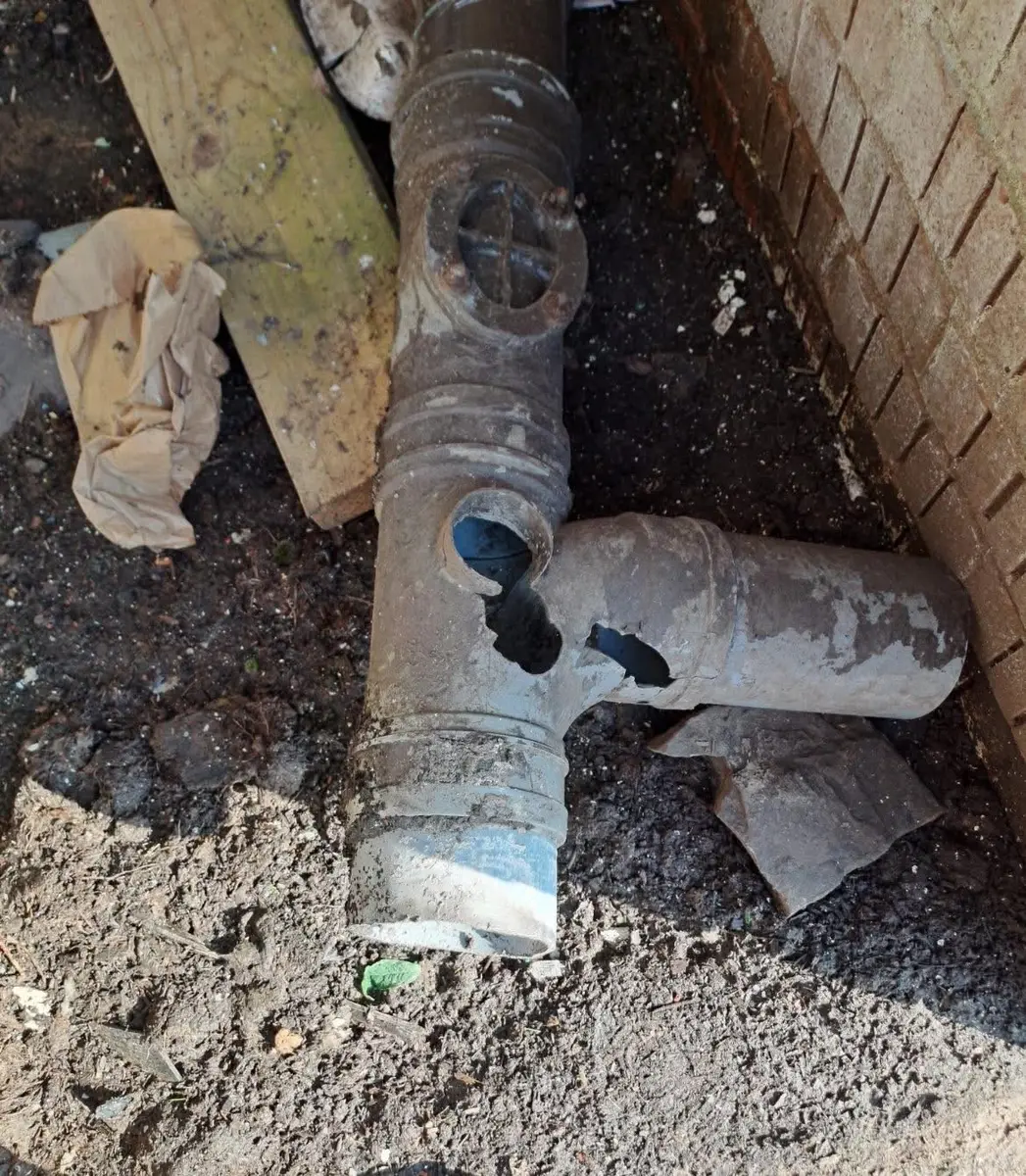 Damaged underground drain pipe with holes that could provide rat access