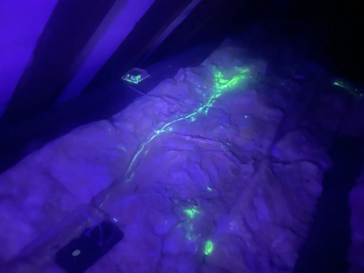 UV tracking dust revealing a rodent route through loft insulation